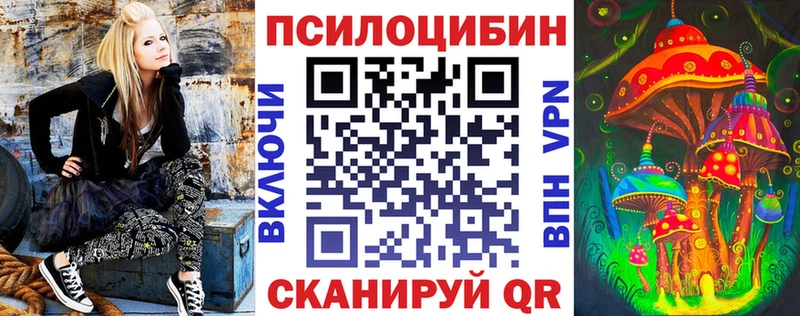 купить закладку  Оленегорск  Псилоцибиновые грибы MAGIC MUSHROOMS 